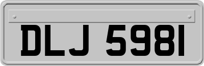 DLJ5981