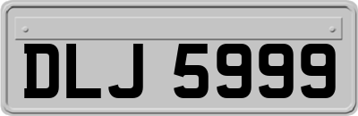 DLJ5999