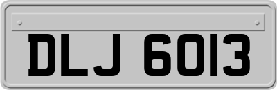 DLJ6013