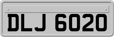 DLJ6020