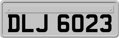DLJ6023