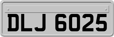DLJ6025