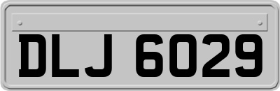 DLJ6029