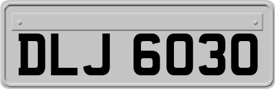 DLJ6030