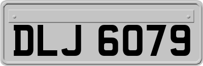 DLJ6079