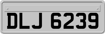DLJ6239