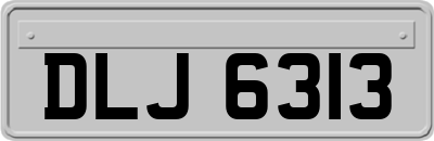 DLJ6313