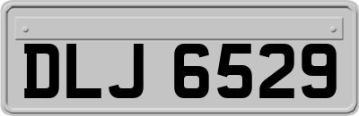 DLJ6529