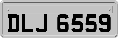DLJ6559