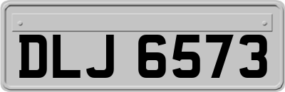 DLJ6573