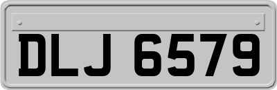 DLJ6579