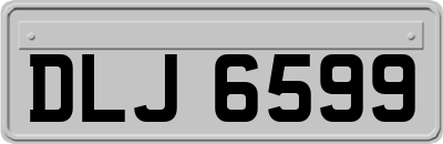 DLJ6599