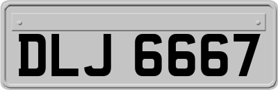 DLJ6667