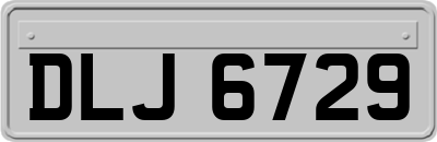 DLJ6729