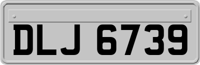 DLJ6739