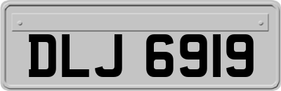 DLJ6919