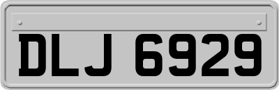 DLJ6929