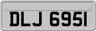 DLJ6951