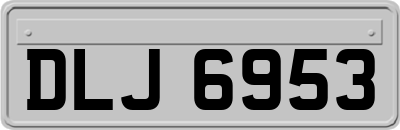DLJ6953
