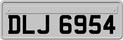 DLJ6954