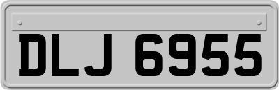 DLJ6955