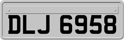 DLJ6958