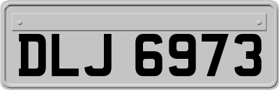 DLJ6973