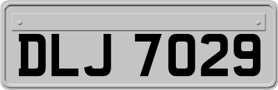 DLJ7029