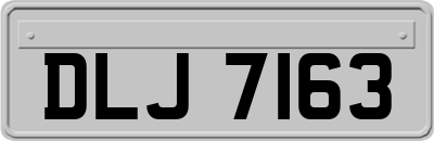 DLJ7163