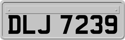 DLJ7239