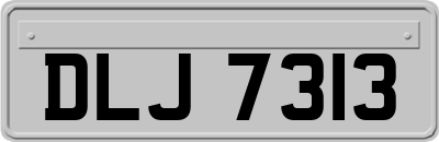 DLJ7313