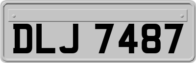 DLJ7487