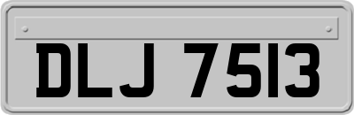 DLJ7513