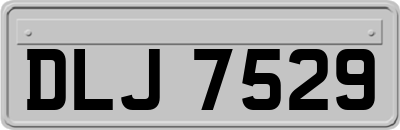 DLJ7529