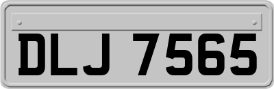 DLJ7565