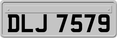 DLJ7579