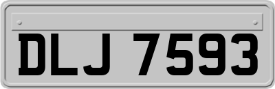 DLJ7593