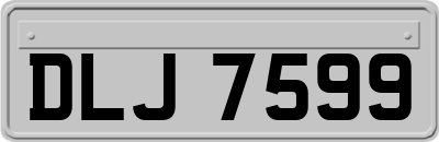 DLJ7599