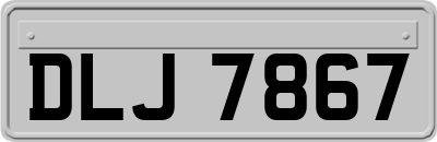 DLJ7867