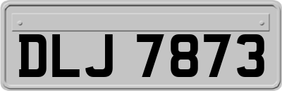 DLJ7873