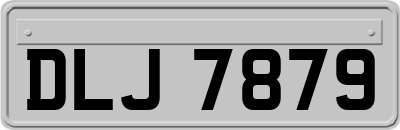 DLJ7879