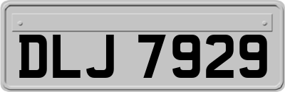DLJ7929