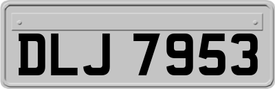 DLJ7953