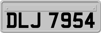 DLJ7954
