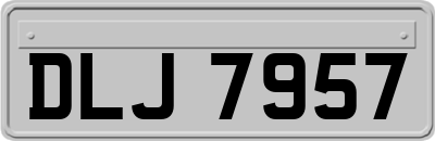 DLJ7957