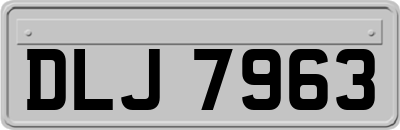 DLJ7963