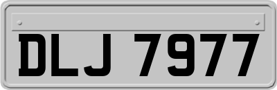 DLJ7977