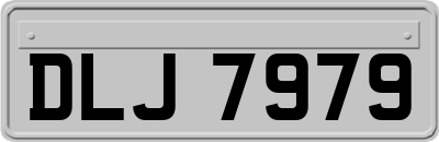 DLJ7979