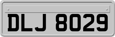 DLJ8029