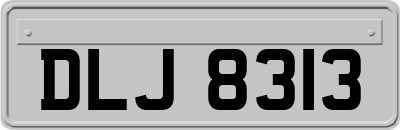 DLJ8313
